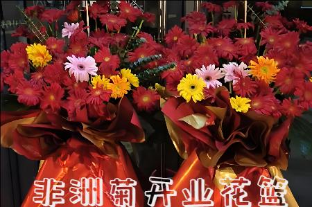 重庆长寿区开业花篮